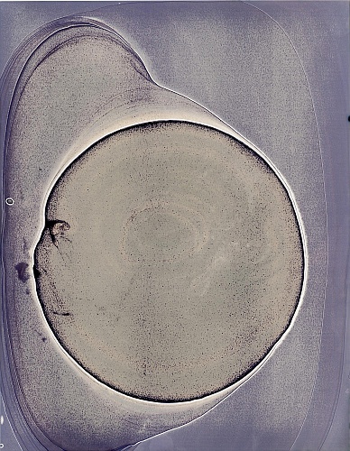 <i>Recording #103</i>, 2007-11