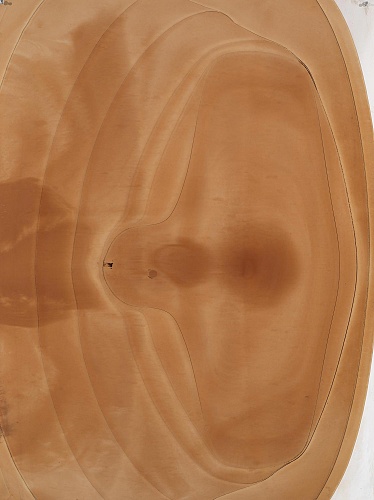 <i>Recording #22</i>, 2007-11