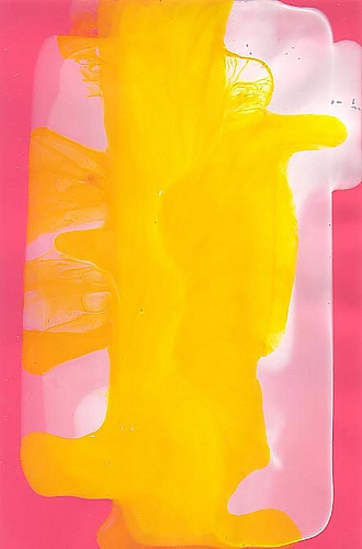 <i>Coloraid #08</i>, 1998-99