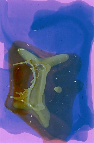 <i>Coloraid #18</i>, 1998-99