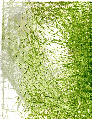 <i>Tileh #10</i>, 2011